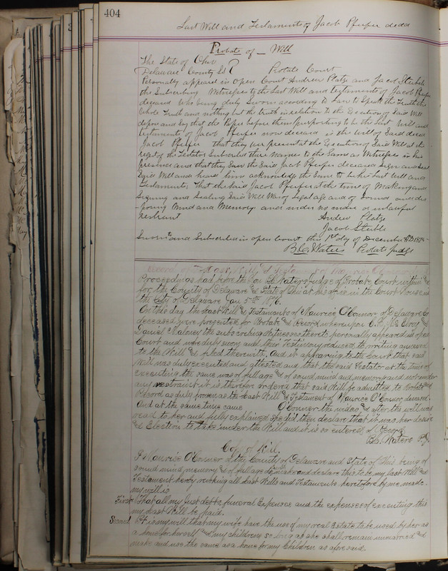 Delaware County Ohio Will Records Vol. 5 1869-1876 (p. 437)