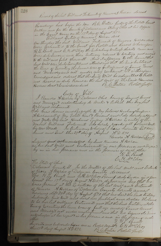 Delaware County Ohio Will Records Vol. 5 1869-1876 (p. 261)