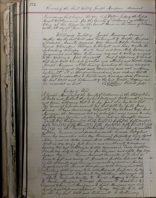 Delaware County Ohio Will Records Vol. 5 1869-1876 (p. 307)