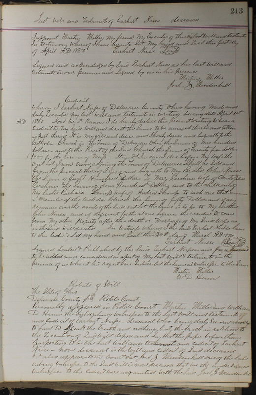 Delaware County Ohio Will Records Vol. 5 1869-1876 (p. 246)