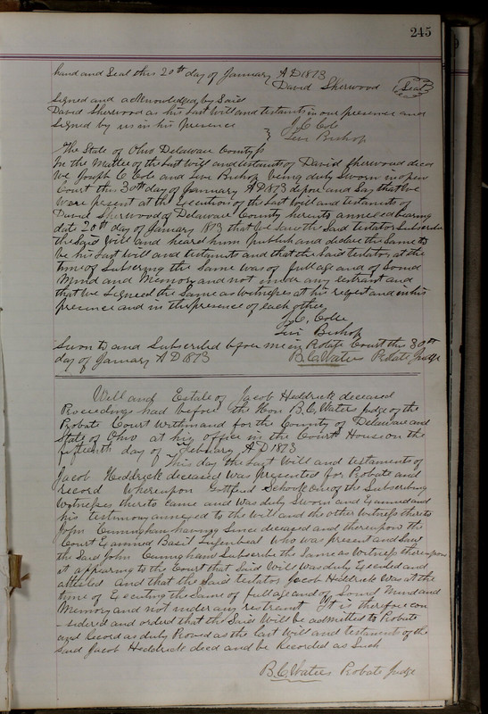 Delaware County Ohio Will Records Vol. 5 1869-1876 (p. 278)