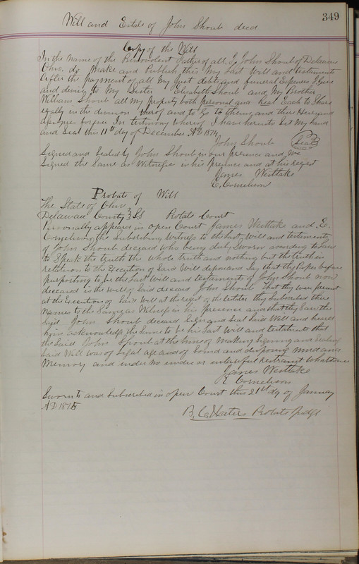 Delaware County Ohio Will Records Vol. 5 1869-1876 (p. 382)