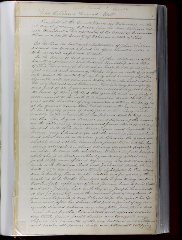 Delaware County Ohio Will Records Vol. 1 1812-1835 (p. 33)