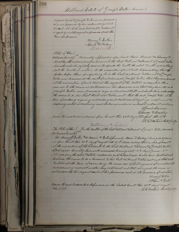 Delaware County Ohio Will Records Vol. 5 1869-1876 (p. 431)