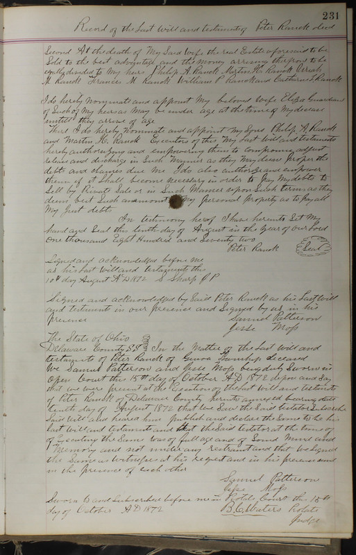 Delaware County Ohio Will Records Vol. 5 1869-1876 (p. 264)