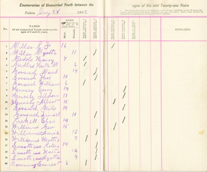 Harlem Township Enumeration of Youth Sub-District 4, July 28th, 1893 (p. 4)