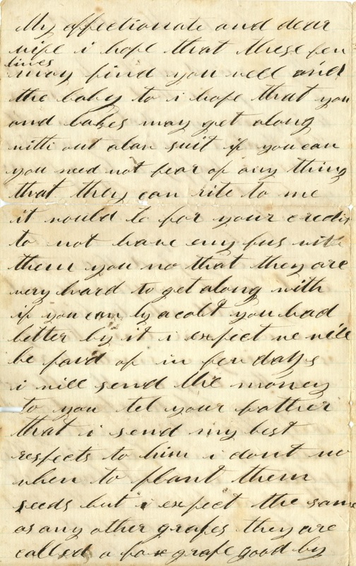 Mitchell Family Civil War Letters (p. 11)