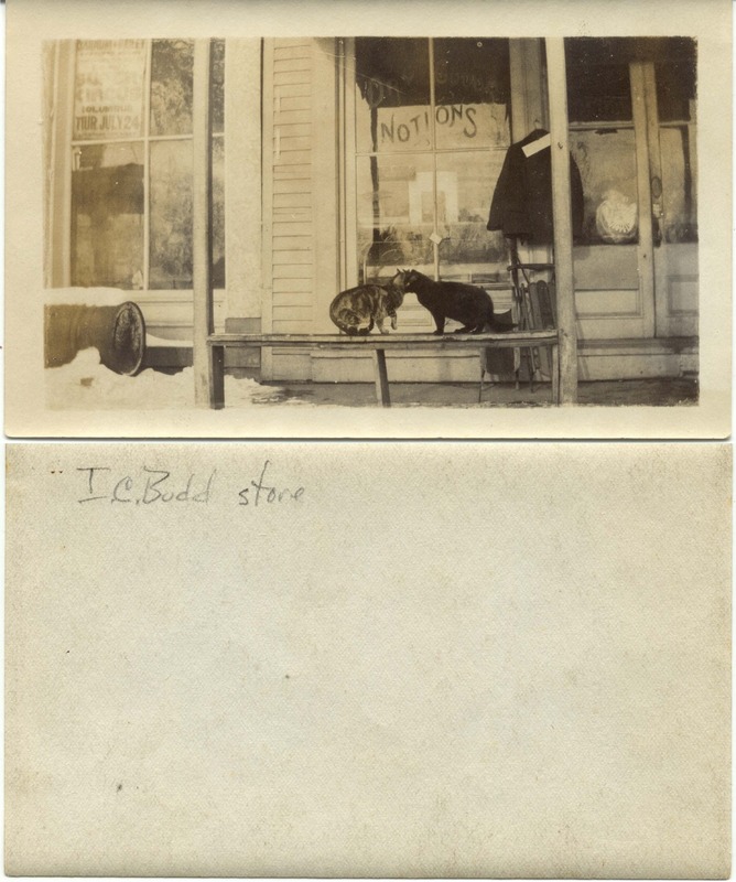 John Bricker Sr.'s Postcard Collection (p. 100)