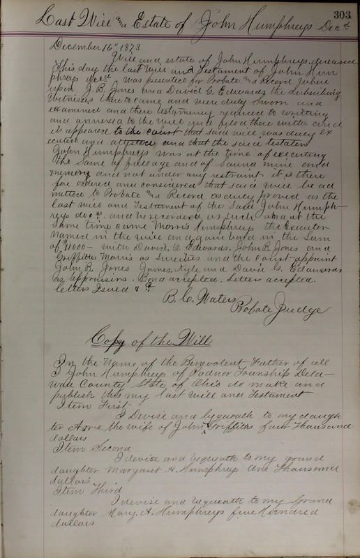 Delaware County Ohio Will Records Vol. 5 1869-1876 (p. 336)