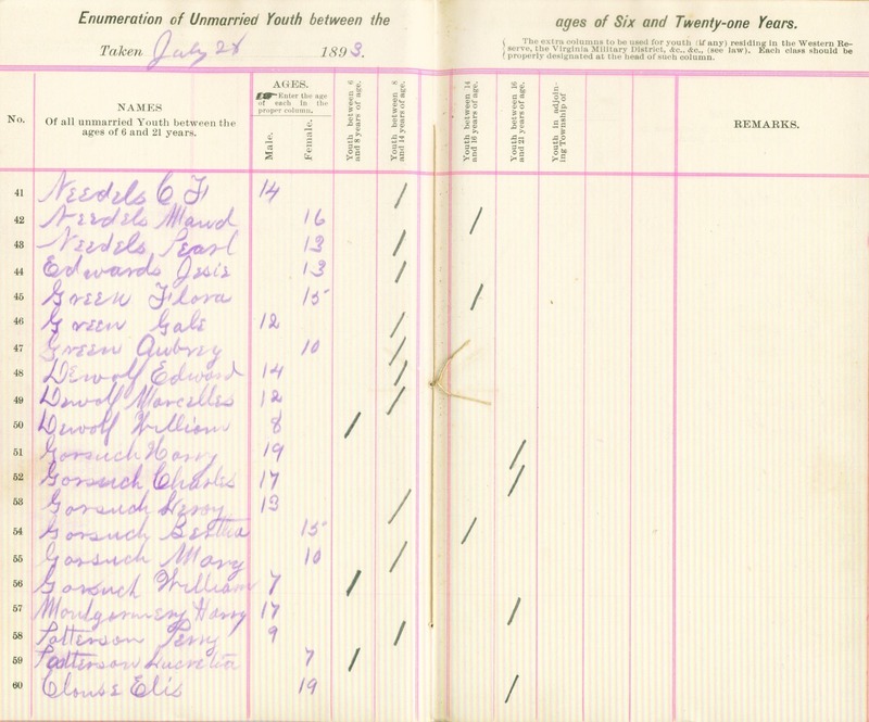 Harlem Township Enumeration of Youth Sub-District 4, July 28th, 1893 (p. 5)