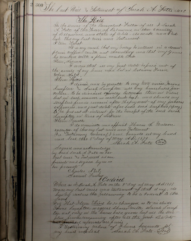 Delaware County Ohio Will Records Vol. 5 1869-1876 (p. 333)