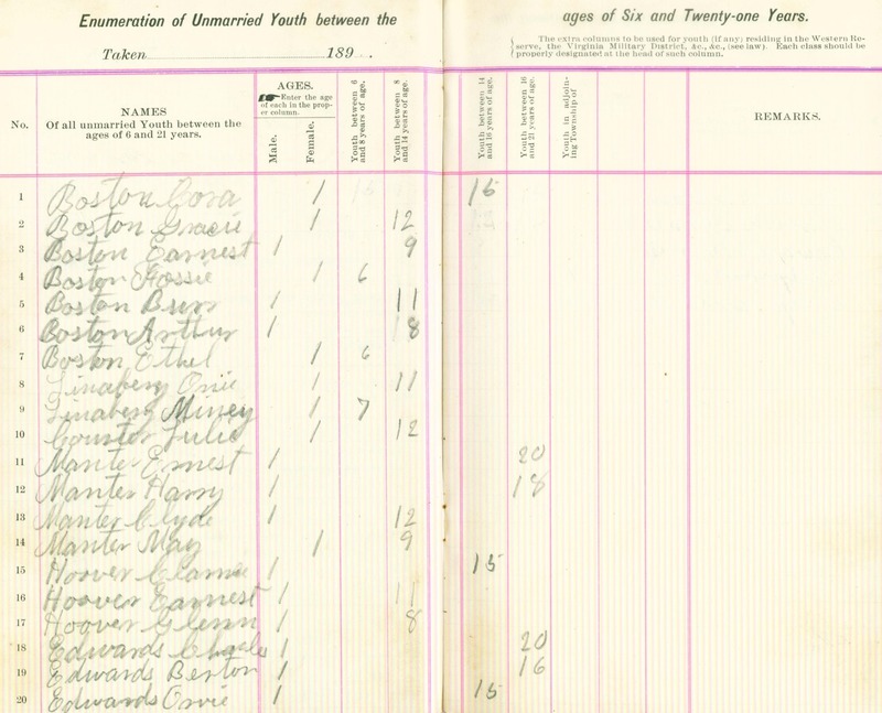 Harlem Township Enumeration of Youth Sub-District 8, July 26, 1895 (p. 4)