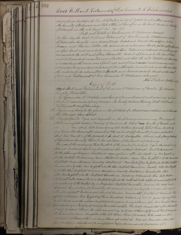 Delaware County Ohio Will Records Vol. 5 1869-1876 (p. 425)