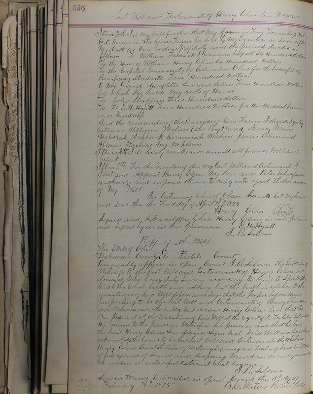 Delaware County Ohio Will Records Vol. 5 1869-1876 (p. 389)