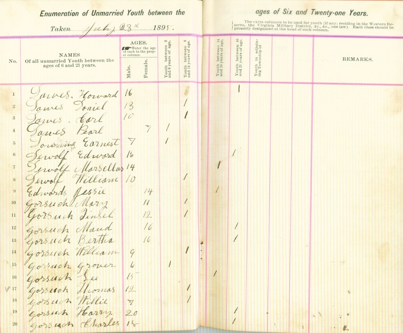 Harlem Township Enumeration of Youth Sub-District 4, July 23th, 1895 (p. 4)