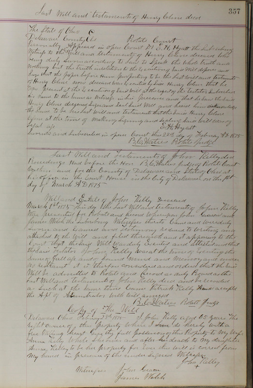 Delaware County Ohio Will Records Vol. 5 1869-1876 (p. 390)