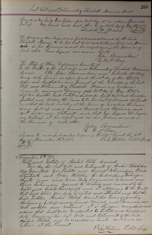 Delaware County Ohio Will Records Vol. 5 1869-1876 (p. 328)