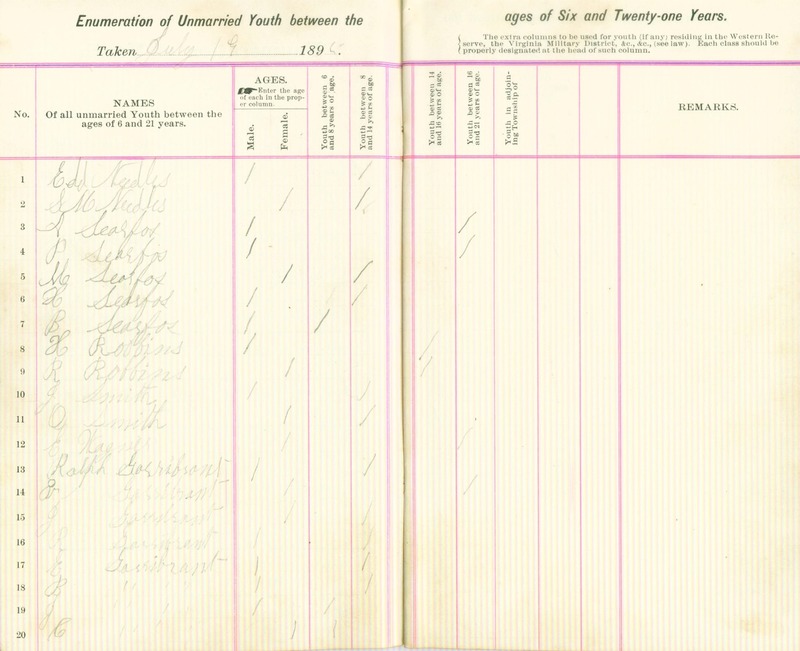 Harlem Township Enumeration of Youth Sub-District 5, July 19, 1895 (p. 4)