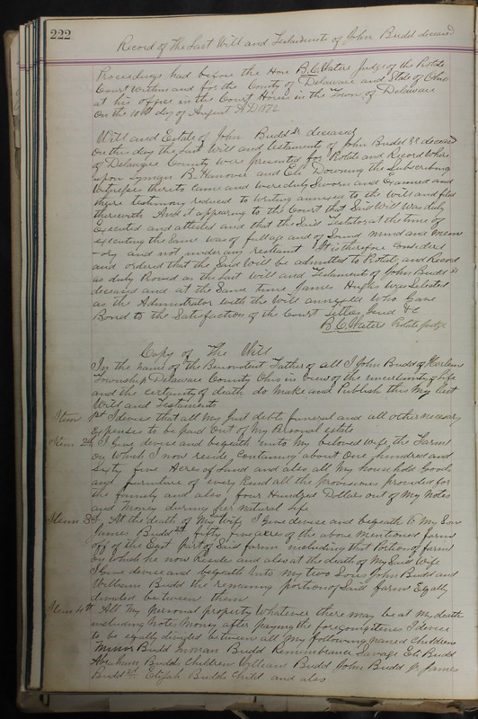 Delaware County Ohio Will Records Vol. 5 1869-1876 (p. 255)