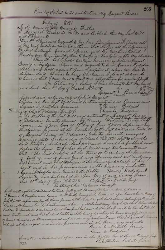 Delaware County Ohio Will Records Vol. 5 1869-1876 (p. 298)