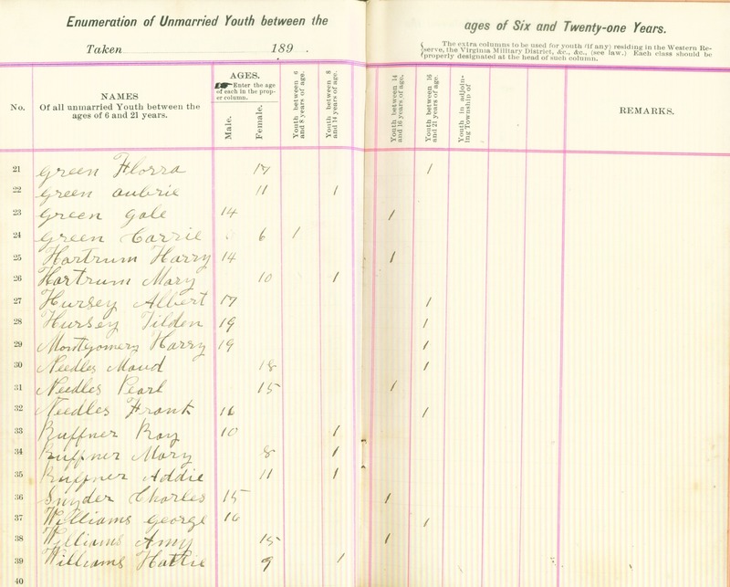 Harlem Township Enumeration of Youth Sub-District 4, July 23th, 1895 (p. 5)