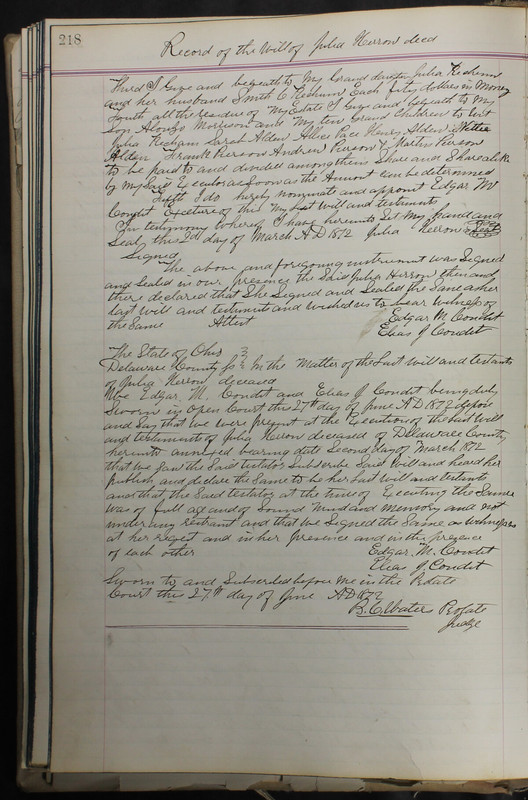 Delaware County Ohio Will Records Vol. 5 1869-1876 (p. 251)