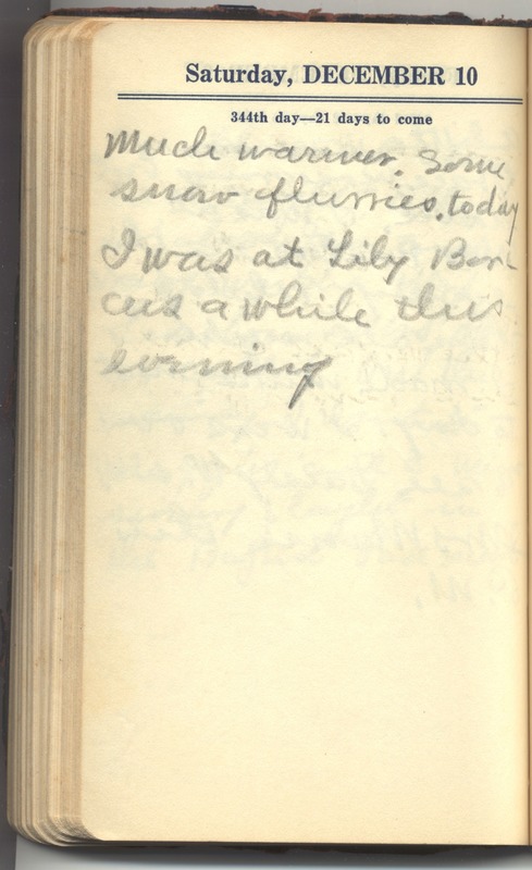 Roberta Hopkins' Diary 1927 (p. 350)