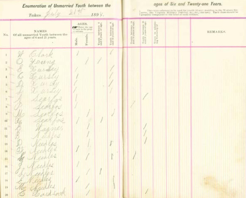 Harlem Township Enumeration of Youth Sub-District 5, July 21, 1894 (p. 4)