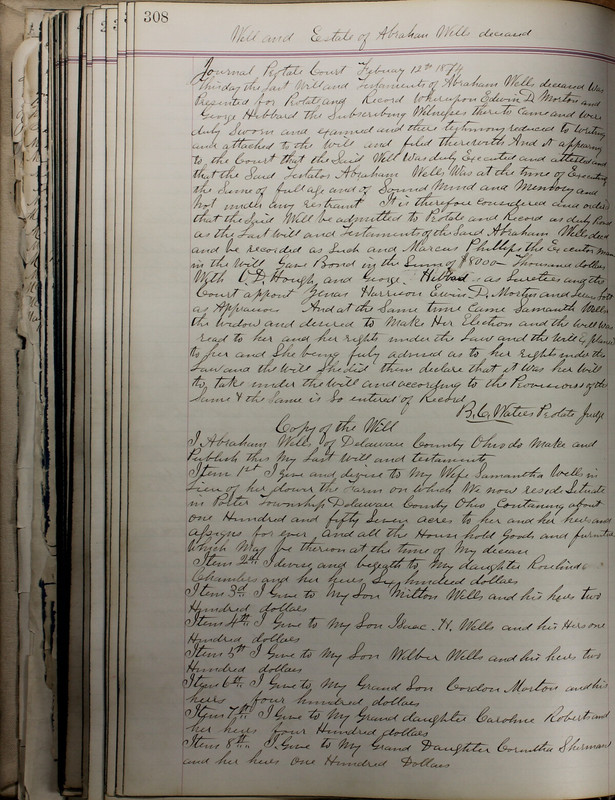 Delaware County Ohio Will Records Vol. 5 1869-1876 (p. 341)