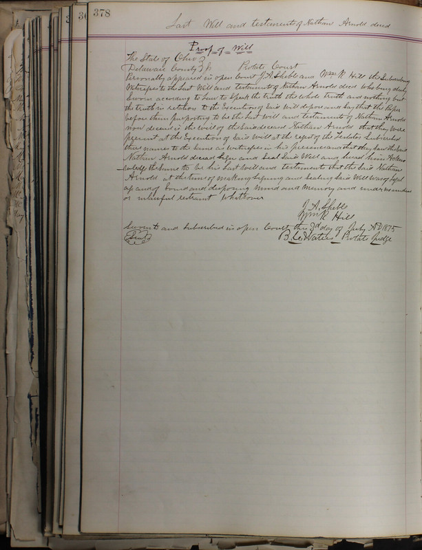 Delaware County Ohio Will Records Vol. 5 1869-1876 (p. 411)