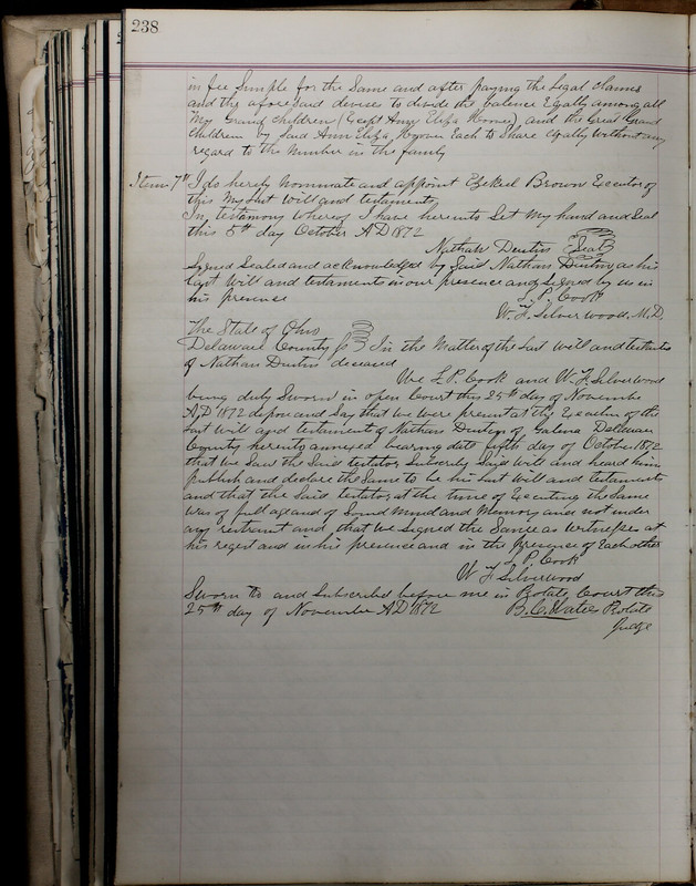 Delaware County Ohio Will Records Vol. 5 1869-1876 (p. 271)