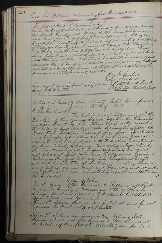 Delaware County Ohio Will Records Vol. 5 1869-1876 (p. 253)