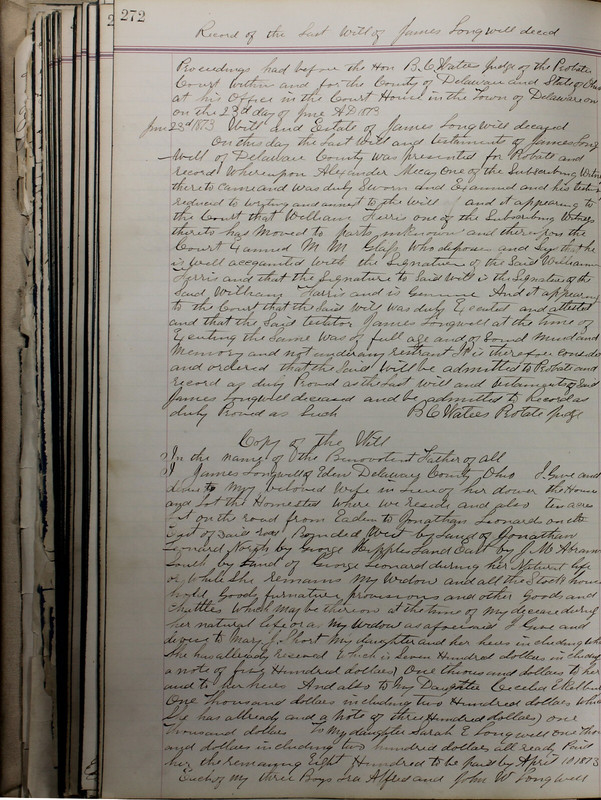 Delaware County Ohio Will Records Vol. 5 1869-1876 (p. 305)