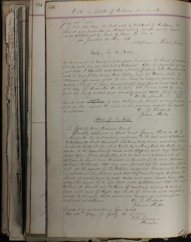 Delaware County Ohio Will Records Vol. 5 1869-1876 (p. 479)