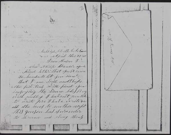 Haycook Civil War Letters 1861-1865 (p. 165)