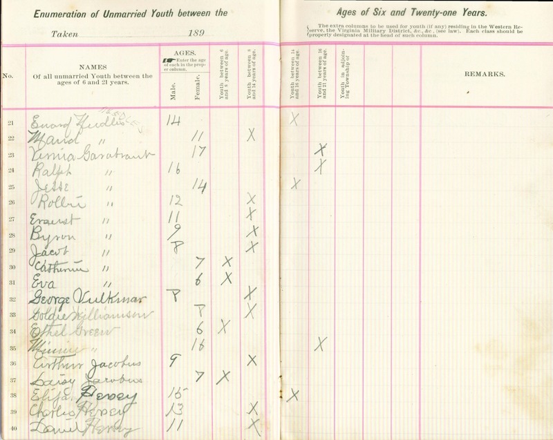 Harlem Township Enumeration of Youth Sub-District 5, July 20, 1896 (p. 5)